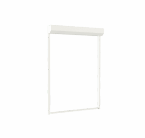 Wit
